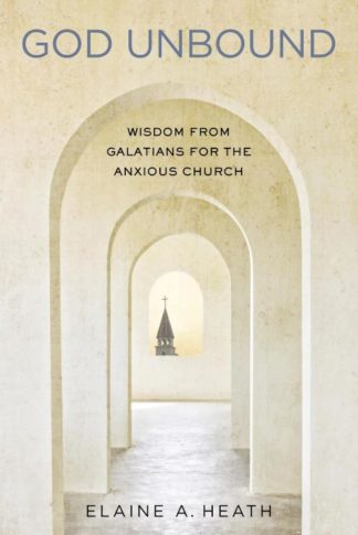 9780835815833 God Unbound : Wisdom From Galatians For The Anxious Church