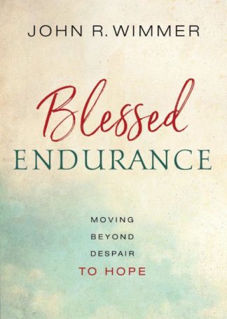 9780835817776 Blessed Endurance : Moving Beyond Despair To Hope