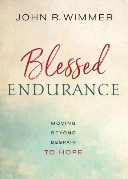 9780835817776 Blessed Endurance : Moving Beyond Despair To Hope