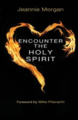 9780857211682 Encounter The Holy Spirit