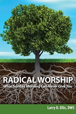 9780982246443 Radical Worship : What Sunday Morning Can Never Give You