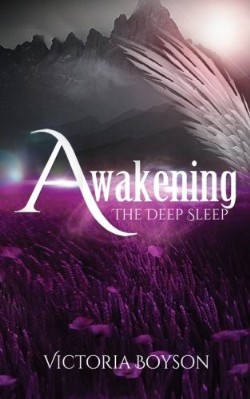 9780990608004 Awakening The Deep Sleep