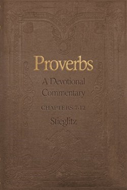 9780990964155 Proverb Vol 2