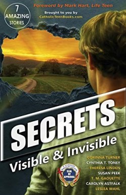9780997971828 Secrets : Visible And Invisible