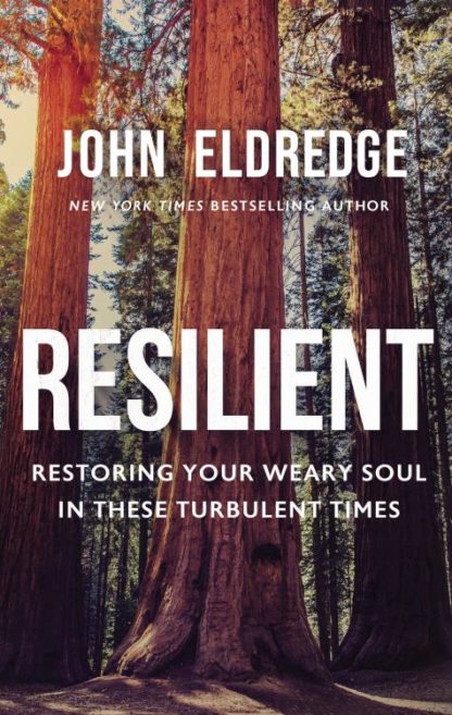 9781400208647 Resilient : Restoring Your Weary Soul In These Turbulent Times