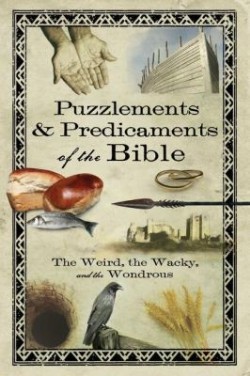 9781416566762 Puzzlements And Predicaments Of The Bible