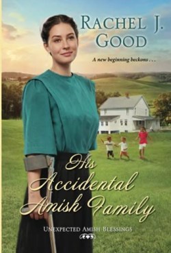9781420150469 His Accidental Amish Family
