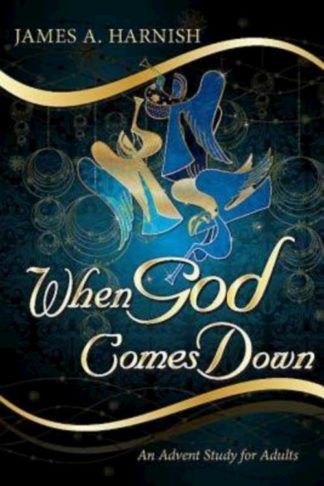 9781426751080 When God Comes Down (Student/Study Guide)