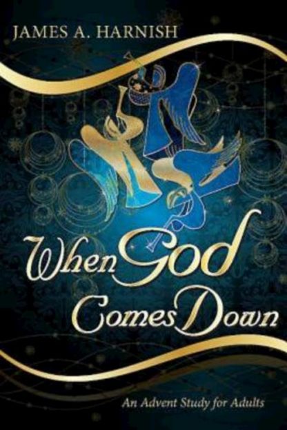 9781426751080 When God Comes Down (Student/Study Guide)