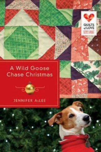 9781426752490 Wild Goose Chase Christmas
