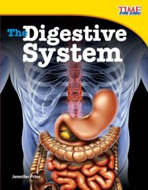 9781433336775 Digestive System