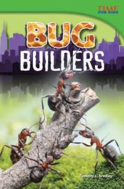 9781433348211 Bug Builders