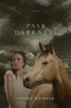 9781433535185 Past Darkness : A Novel