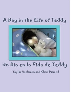 9781434914859 Day In The Life Of Teddy Un Dia En La Vida De Teddy