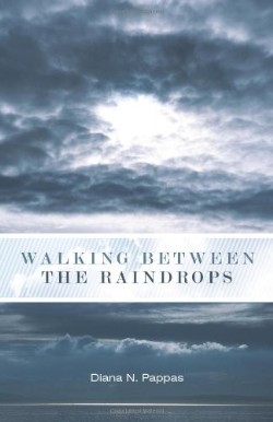9781449712884 Walking Between The Raindrops