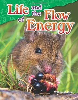 9781480747159 Life And The Flow Of Energy