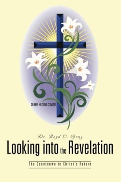 9781491704264 Looking Into The Revelation