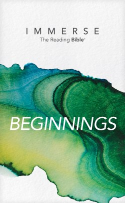 9781496458322 Immerse Beginnings The Reading Bible