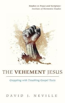 9781498287500 Vehement Jesus : Grappling With Troubling Gospel Texts