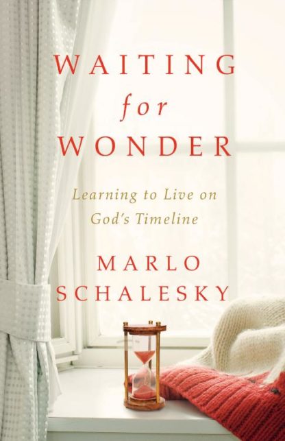 9781501820106 Waiting For Wonder (Student/Study Guide)