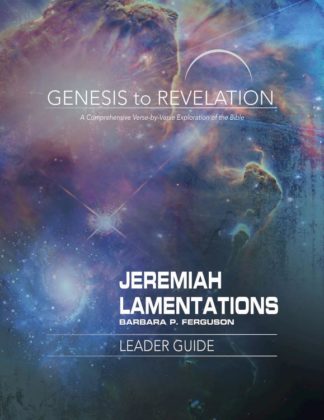 9781501855740 Jeremiah Lamentations Leader Guide (Teacher's Guide)