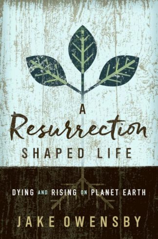 9781501870811 Resurrection Shaped Life