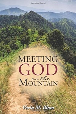 9781512729276 Meeting God On The Mountain