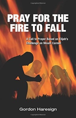 9781512730135 Pray For The Fire To Fall