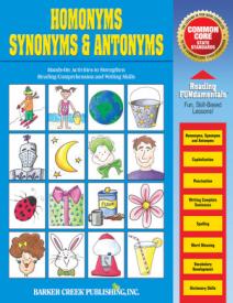 9781533003195 Homophones Synonyms And Antonyms Grammar Activity Book