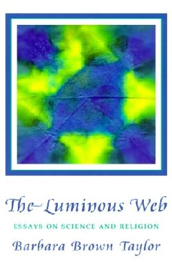 9781561011698 Luminous Web : Essays On Science And Religion