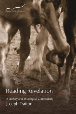 9781573122894 Reading Revelation : A Literary And Theological Commentary