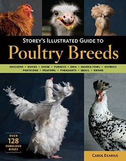 9781580176675 Storeys Illustrated Guide To Poultry Breeds