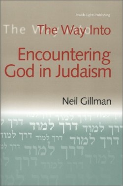 9781580230254 Way Into Encountering God In Judaism