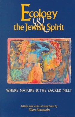 9781580230827 Ecology And The Jewish Spirit