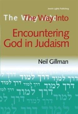 9781580231992 Way Into Encountering God In Judaism
