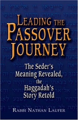 9781580232111 Leading The Passover Journey