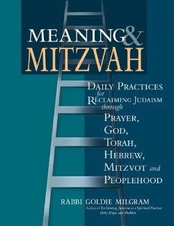9781580232562 Meaning And Mitzvah