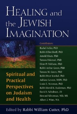 9781580233149 Healing And The Jewish Imagination