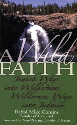 9781580233163 Wild Faith : Jewish Ways Into Wilderness Wilderness Ways Into Judaism