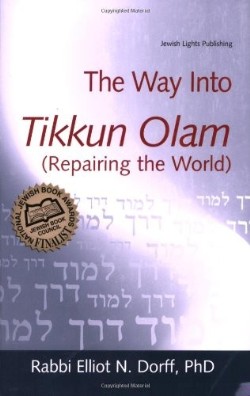 9781580233286 Way Into Tikkun Olam