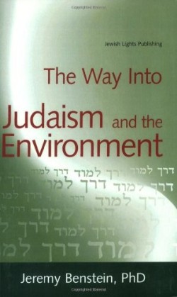 9781580233682 Way Into Judaism And The Environment