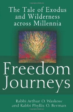 9781580234450 Freedom Journeys : The Tale Of Exodus And Wilderness Across Millennia