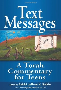 9781580235075 Text Messages : A Torah Commentary For Teens