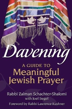 9781580236270 Davening : A Guide To Meaningful Jewish Prayer