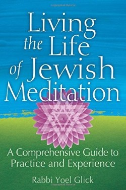9781580238021 Living The Life Of Jewish Meditation