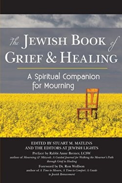 9781580238526 Jewish Book Of Grief And Healing