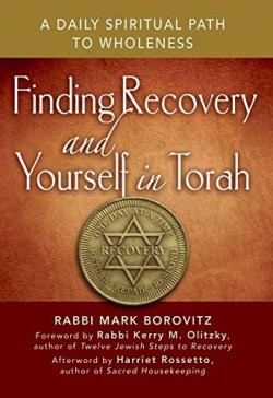 9781580238571 Finding Recovery And Yourself In Torah