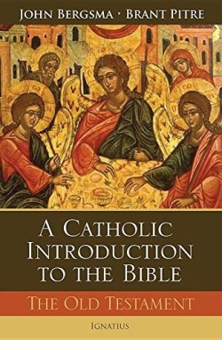9781586177225 Catholic Introduction To The Bible