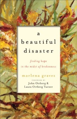 9781587433412 Beautiful Disaster : Finding Hope In The Midst Of Brokenness (Reprinted)