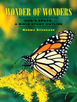 9781591603818 Wonder Of Wonders (Student/Study Guide)